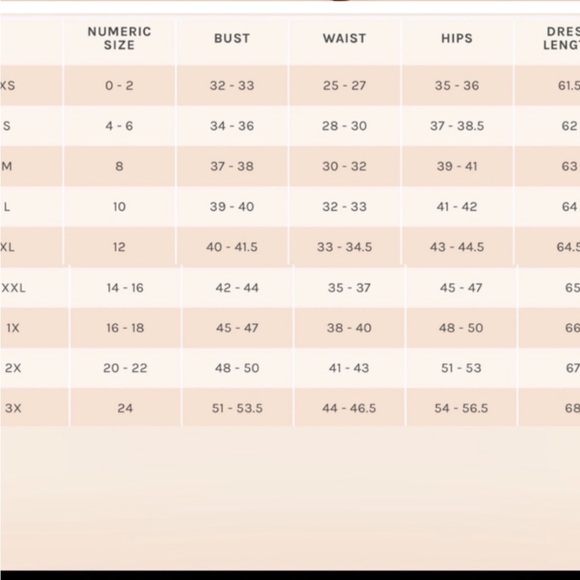 BIRDY GREY Lisa Satin Maxi Gown / Dress Neutral Champagne Sz L Wedding Formal - Picture 9 of 14